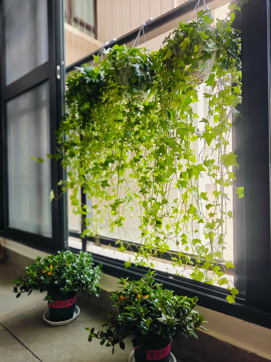 Stef Dimitrova tweet media