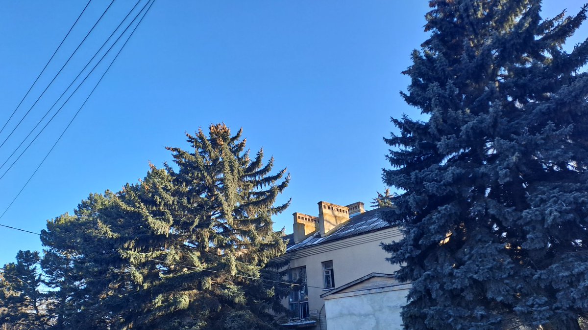 Теплая гренка☮️ tweet media
