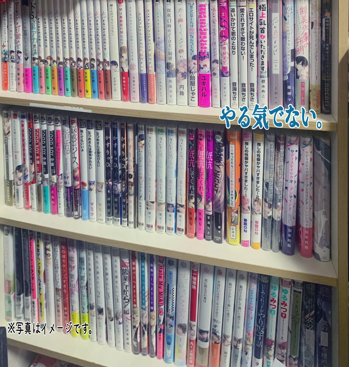 ふて寝 tweet media