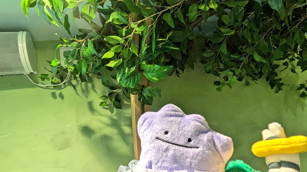 ポケパークカントー朝早くから行った甲斐があって全部満喫できて