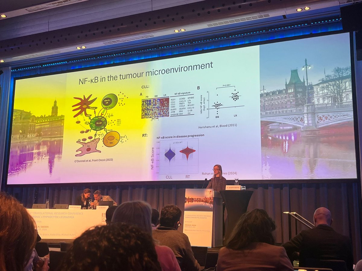 Sussex Blood Cancer Research tweet media