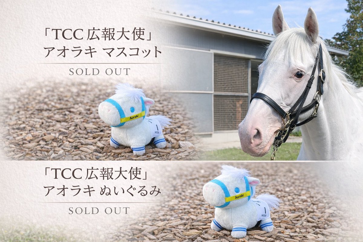 「TCC 広報大使」アオラキ ぬいぐるみ　馬 🎉完売御礼🎉 本日販売した 「TCC広報大使 アオラキ」ぬいぐるみ