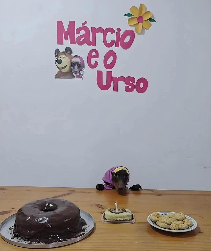 iti malias tweet media