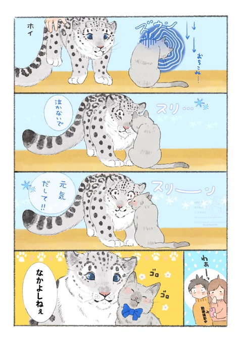 2/2 