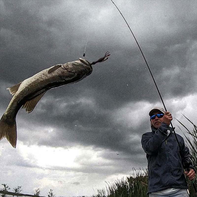 Culprit Fishing tweet media