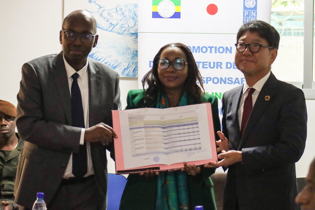 PNUD GABON tweet media