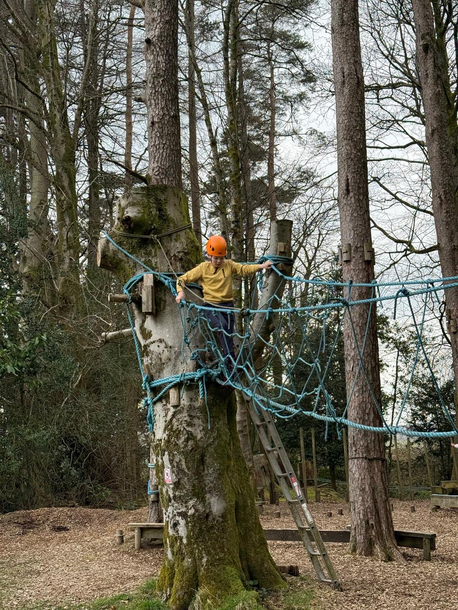 Marden High School tweet media