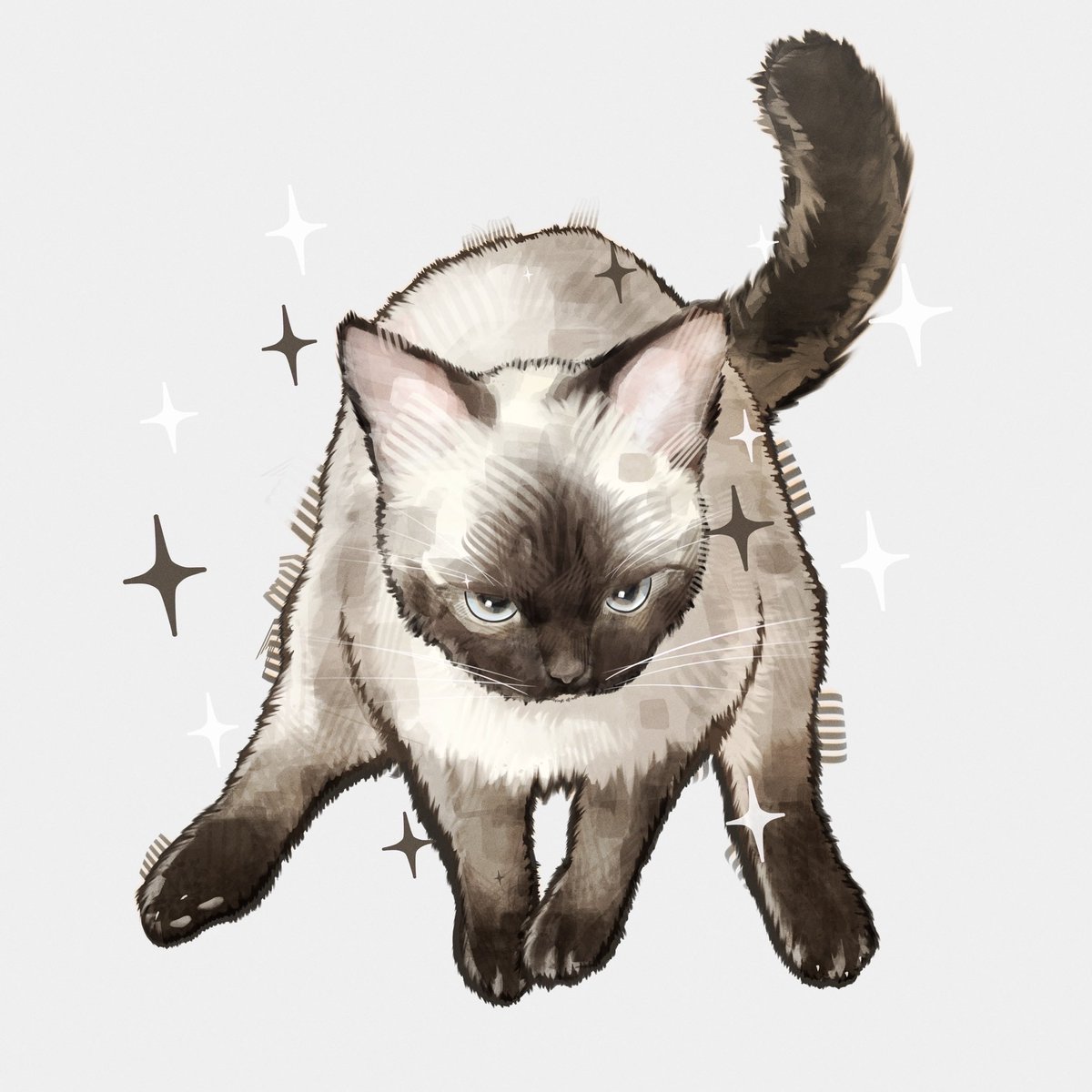 のらぬこ tweet media