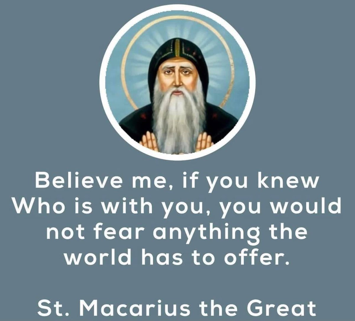 Jonah In Wales 🦊 tweet media