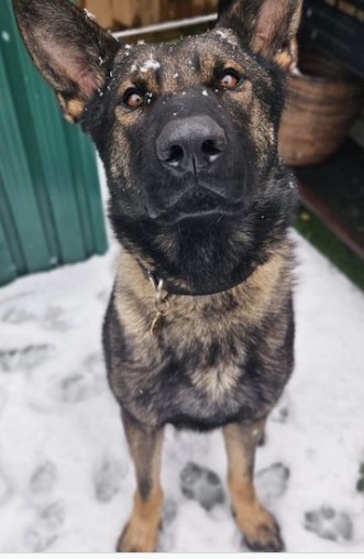 MerPol Knowsley tweet media