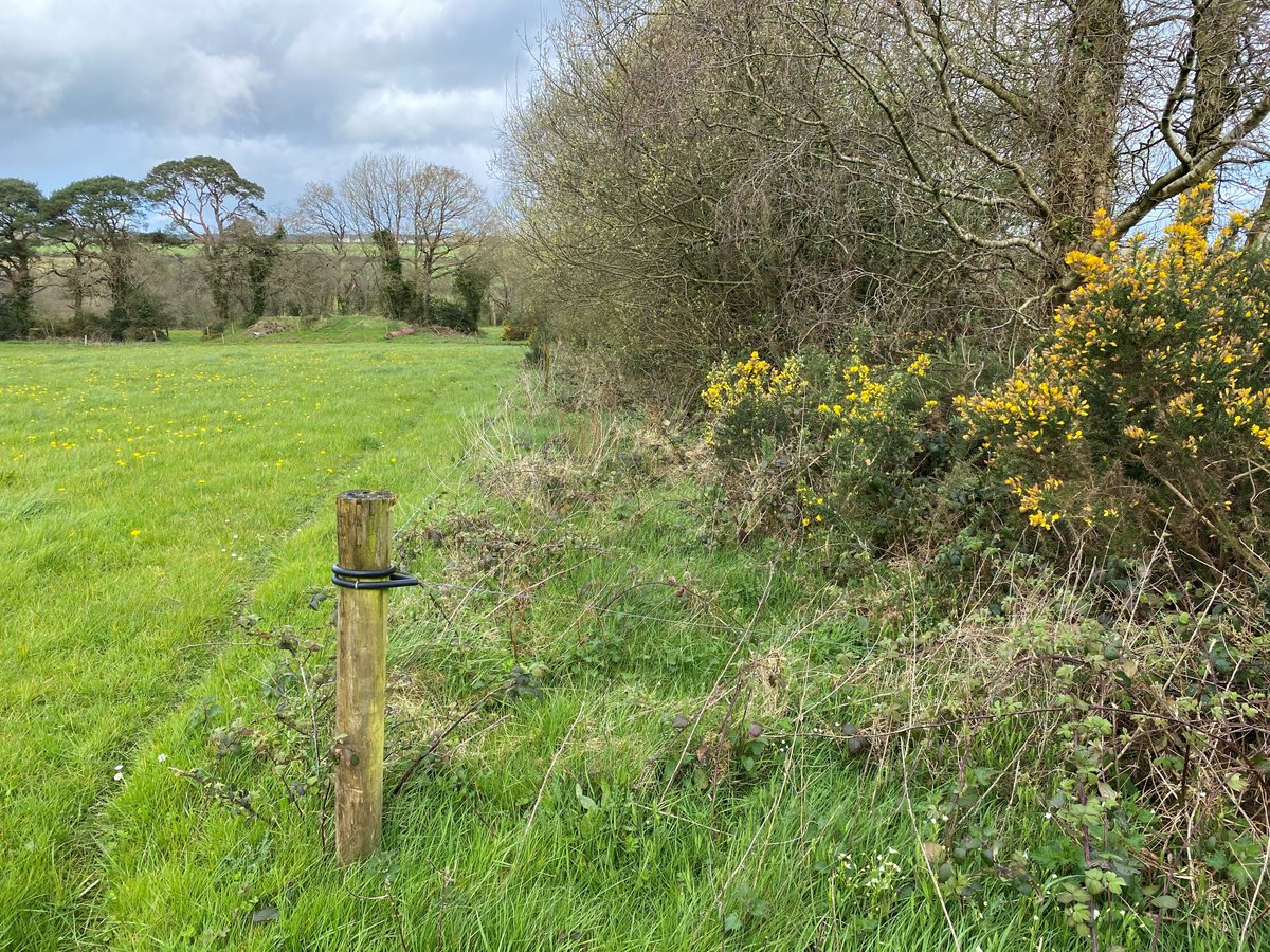 CAP Network Ireland tweet media