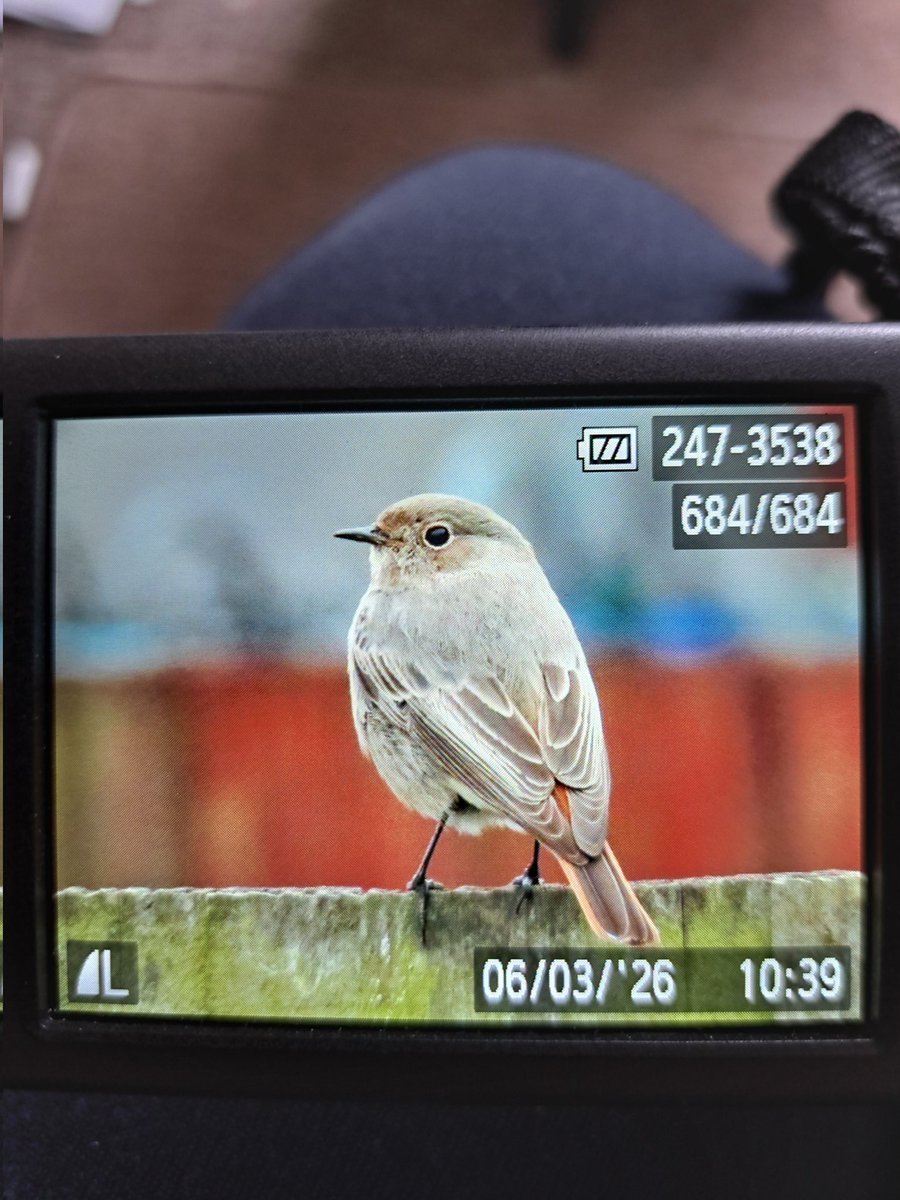 Dean Reeves tweet media