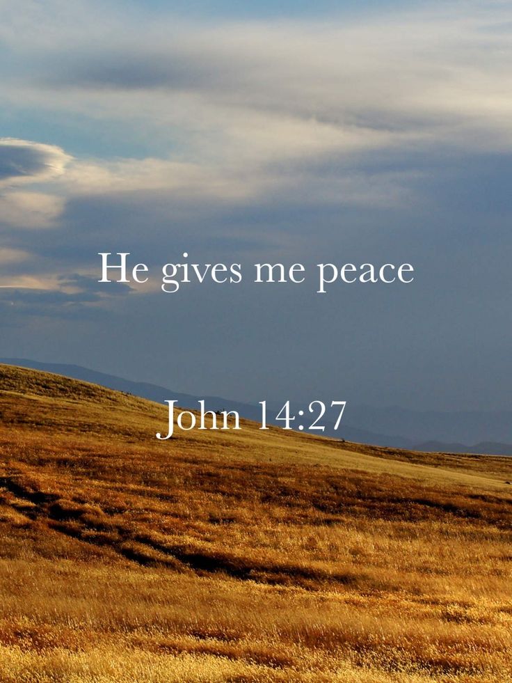 John_Matthew_T's tweet photo. John 14:27 https://t.co/0m9c11n9l0