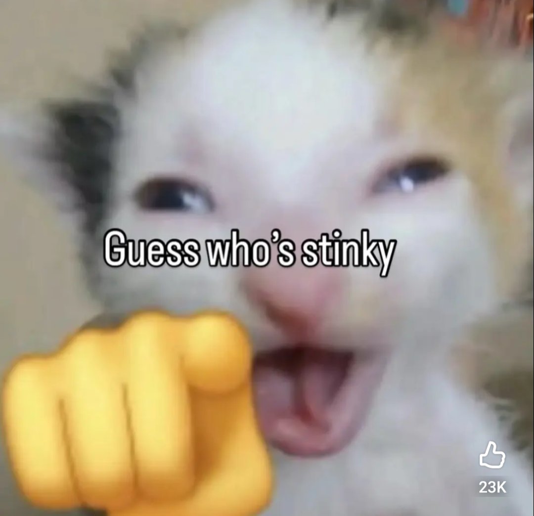 🌐 STEX23 🌐 tweet media