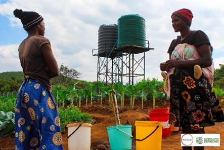 UN Land and Drought tweet media