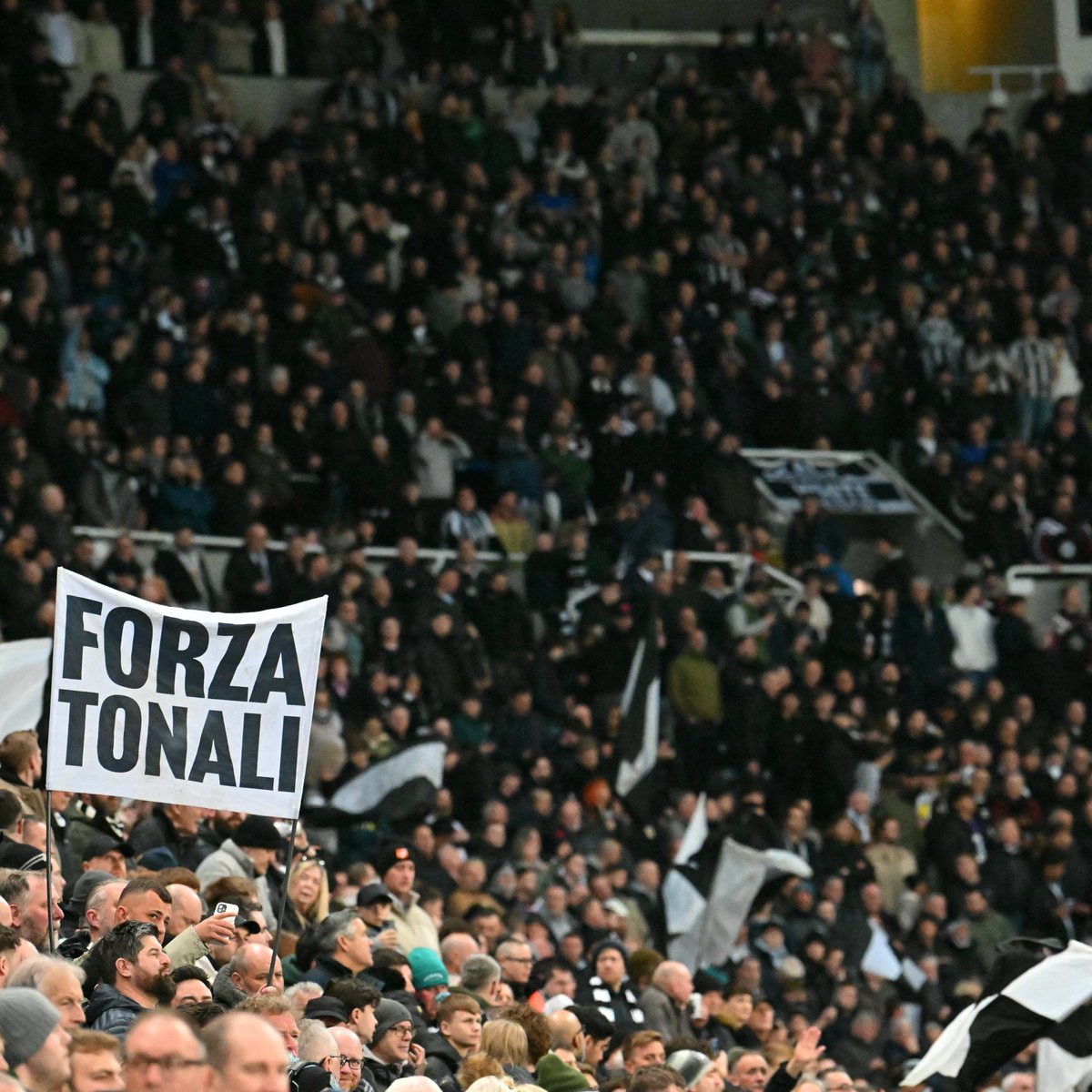 Magpie 24/7 tweet media