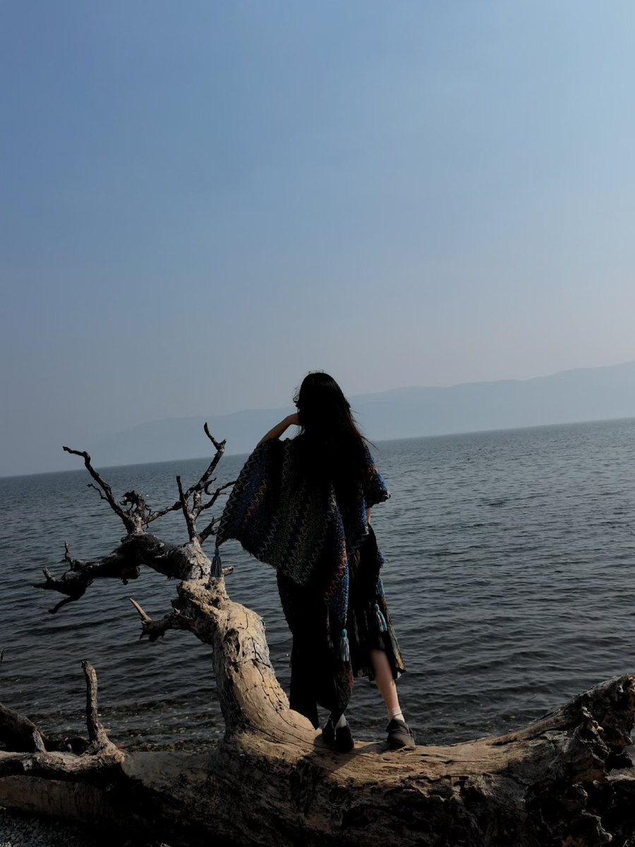 屿yu. tweet media