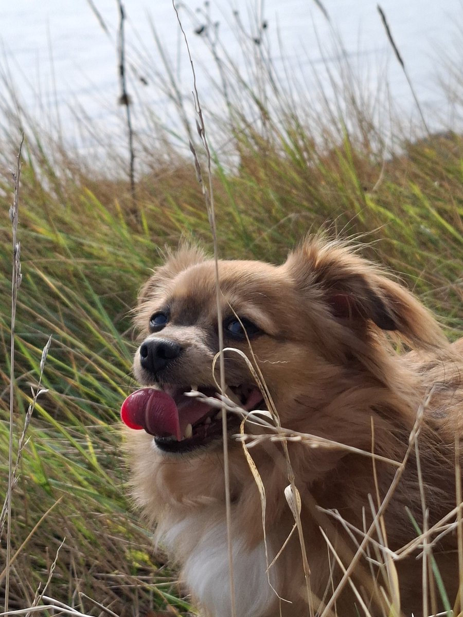 Er op uit.Veerse Meer.