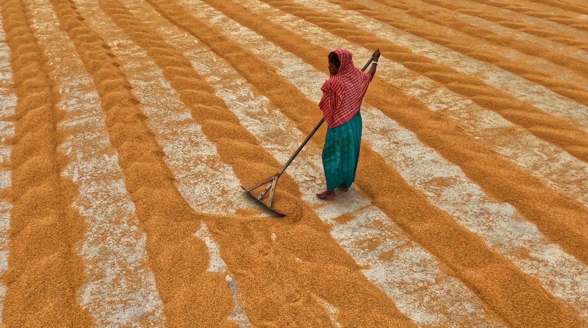 cdri_world's tweet image. ☀️ Women in low‑income communities face the harshest impacts of #extremeheat.

Investing in #resilience can protect livelihoods and drive #adaptation.

Dr Kate Schecter in @impakterdotcom ➡️ impakter.com/women-and-extr…

#WomensDay #IWD2026