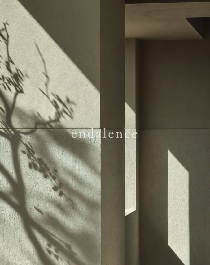 endalenceofficial tweet media