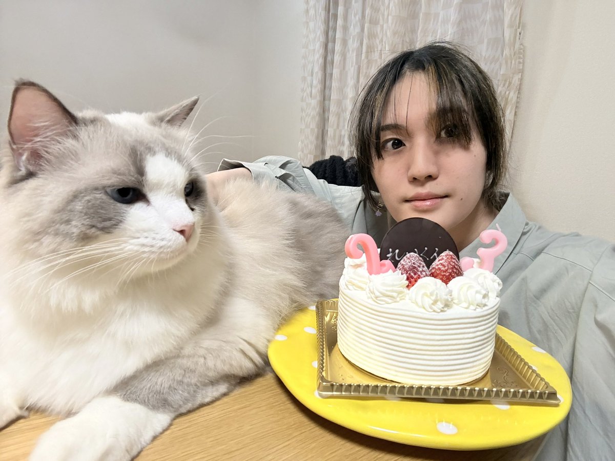 高月怜 tweet media