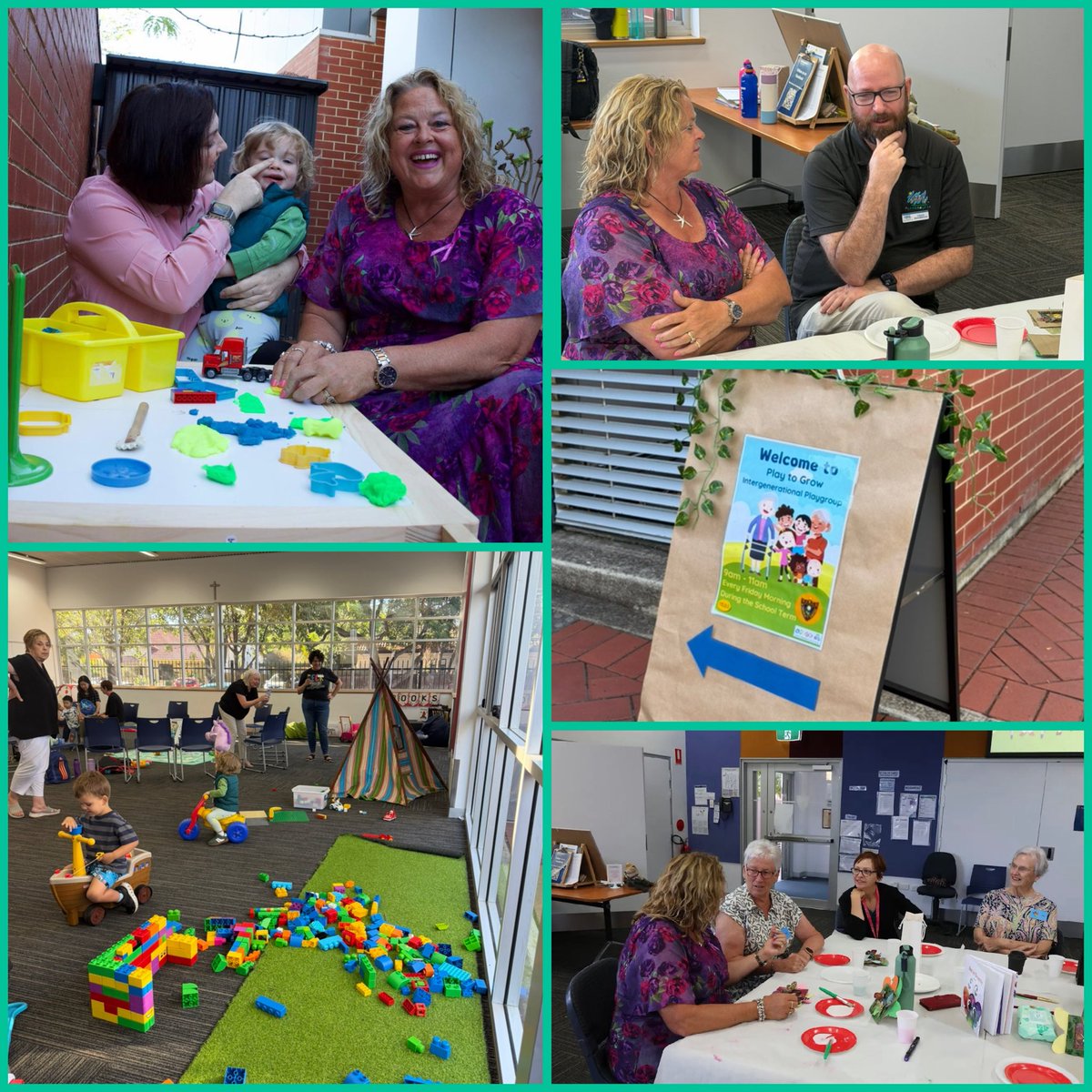 Nat Cook MP tweet media