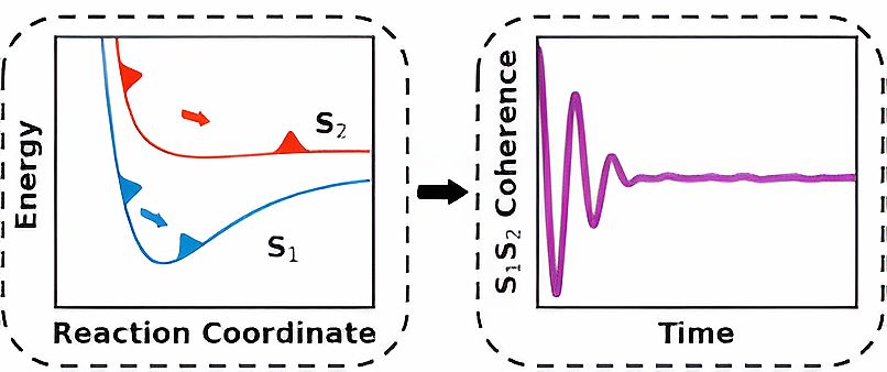 IMDEA Nanociencia 🔬 tweet media