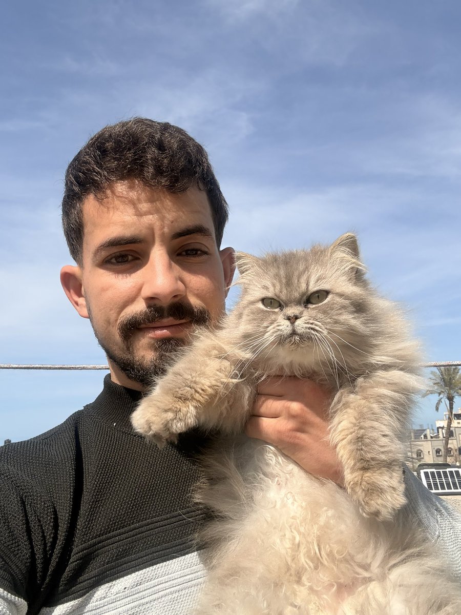 SHARIF 𓂆 tweet media