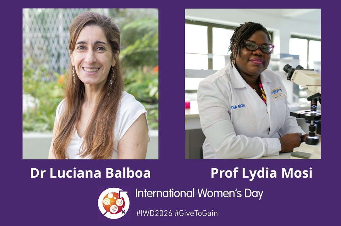 VALIDATE Network tweet media