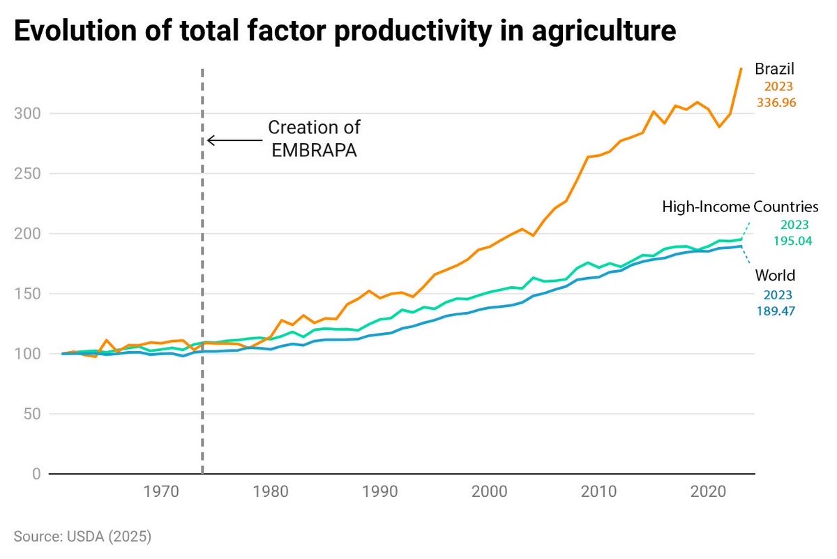Maximo Torero tweet media