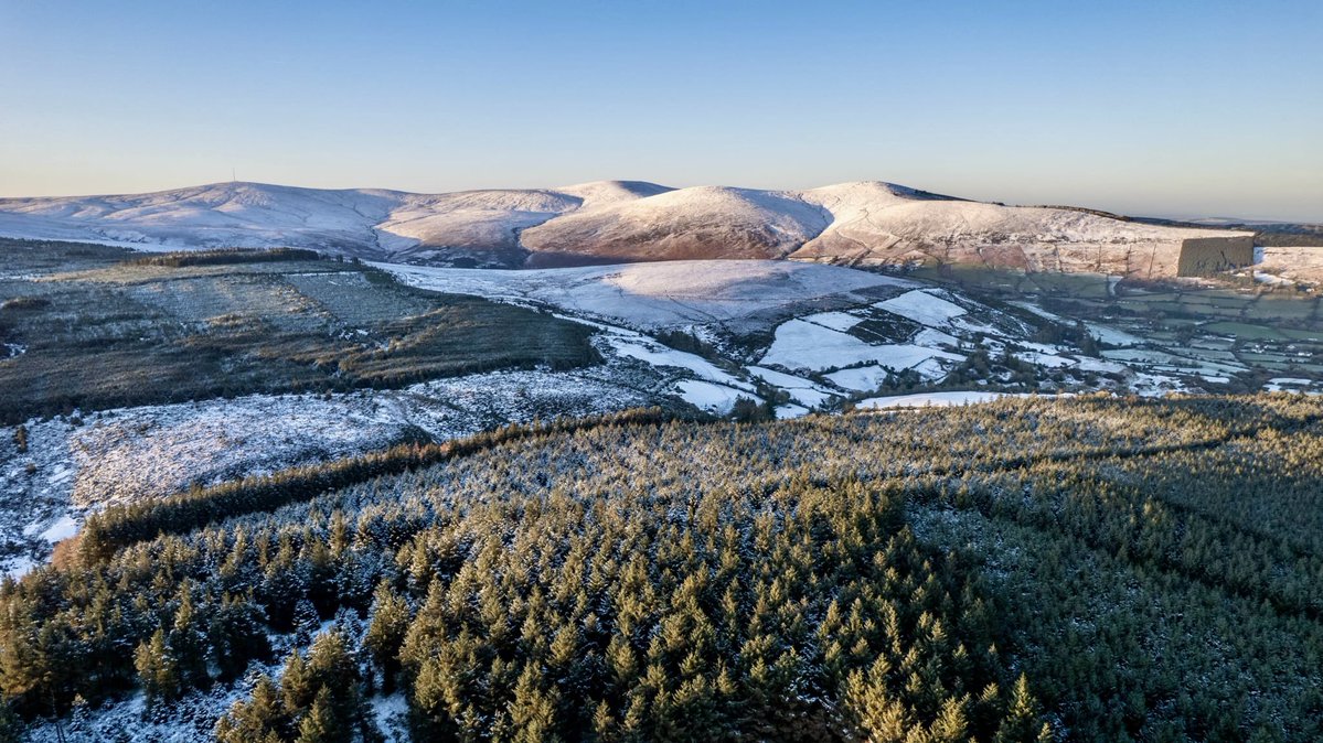 SavetheHellfire tweet media