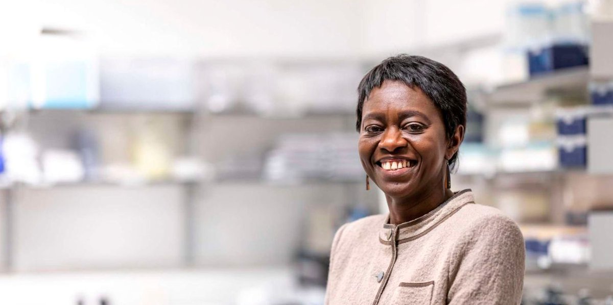 Zero Malaria tweet media