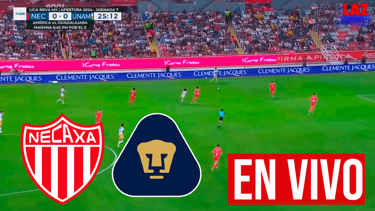 Anderson Pill tweet media