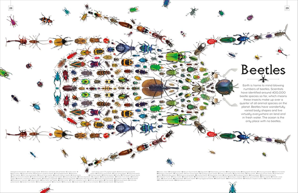 Books for Keeps tweet media