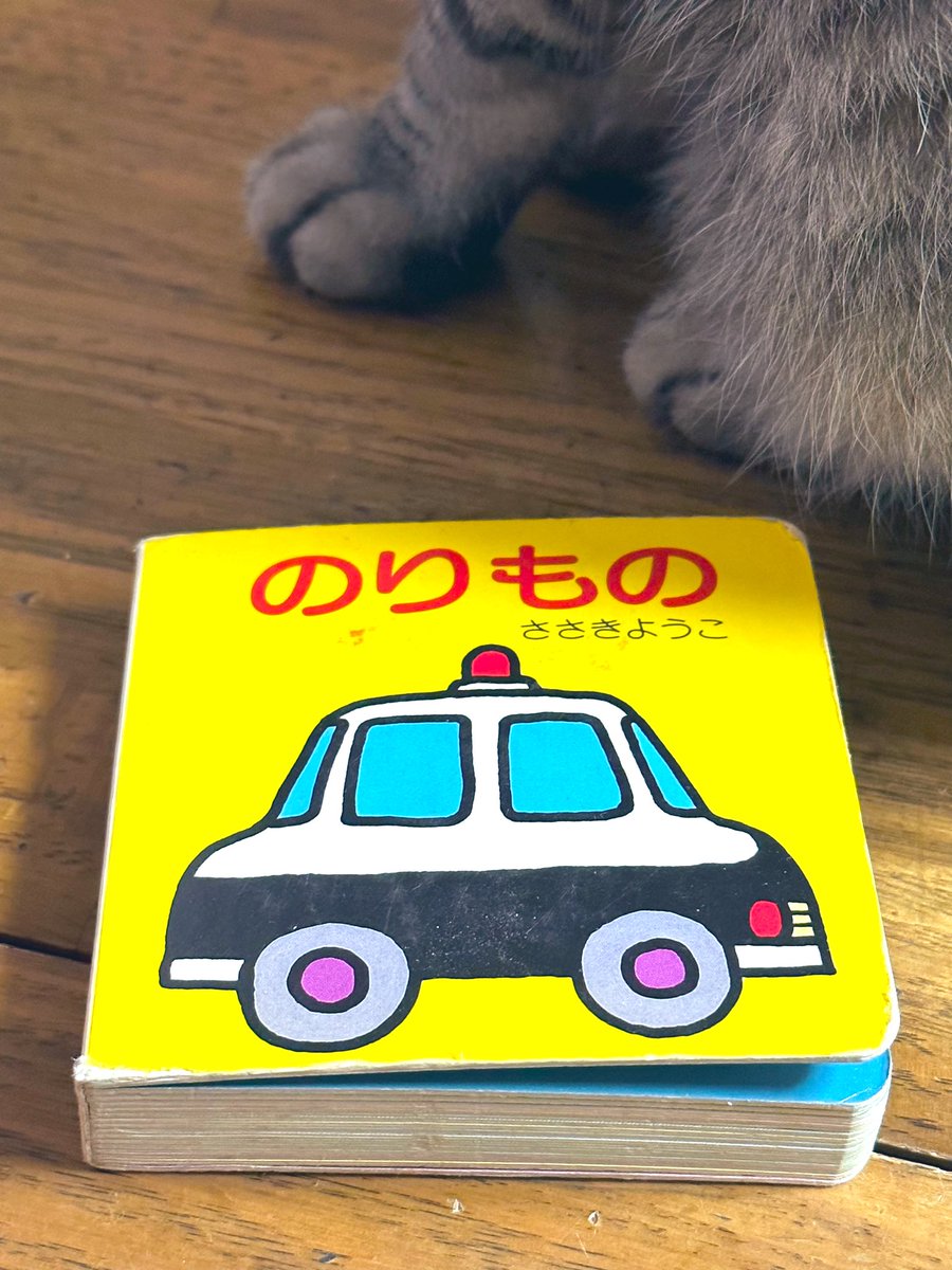 ☆たけちゃんさん☆ (@117takecyanman) / Posts / X