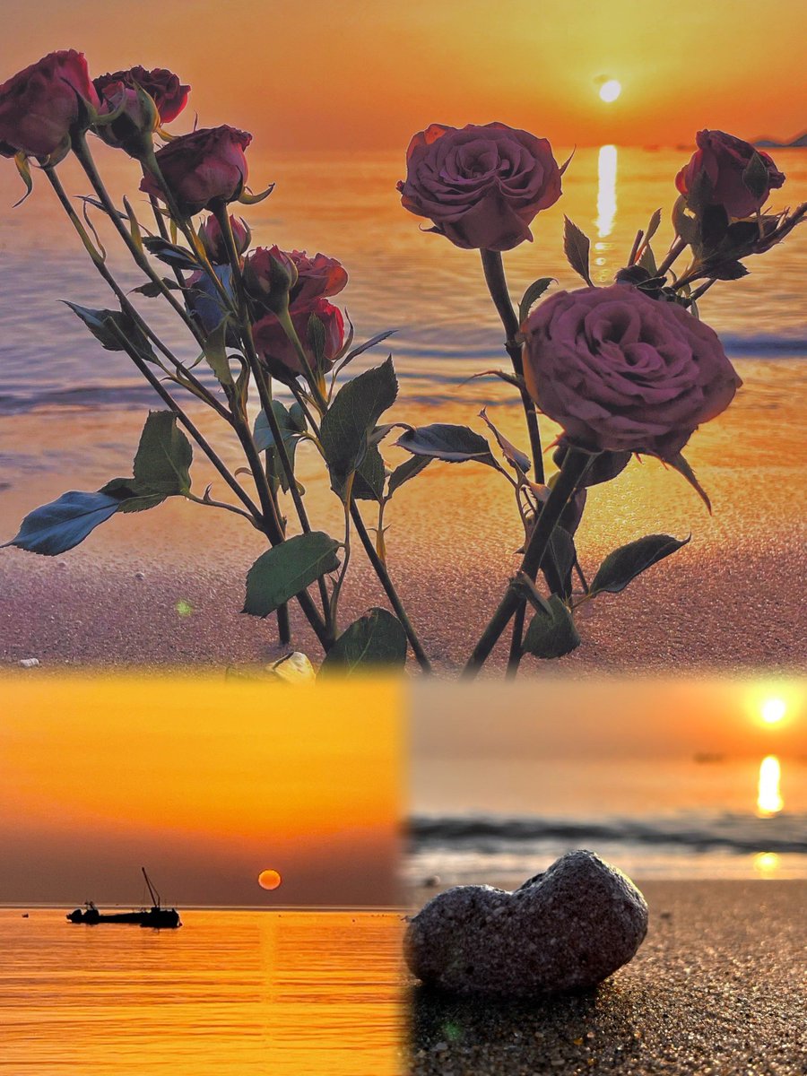 Robert Lacey tweet media