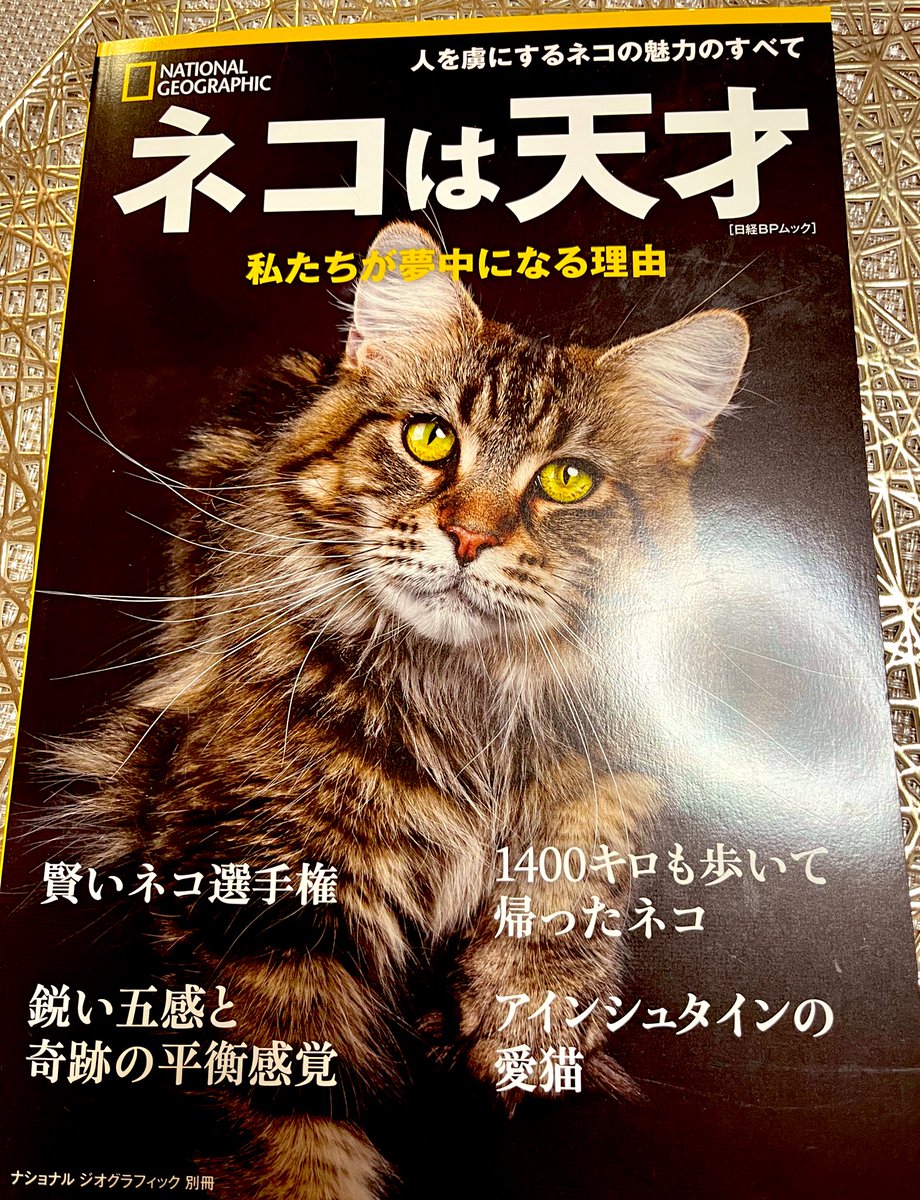 ナショナルジオグラフィック別冊ネコは天才 本屋さんの猫特集コーナー
