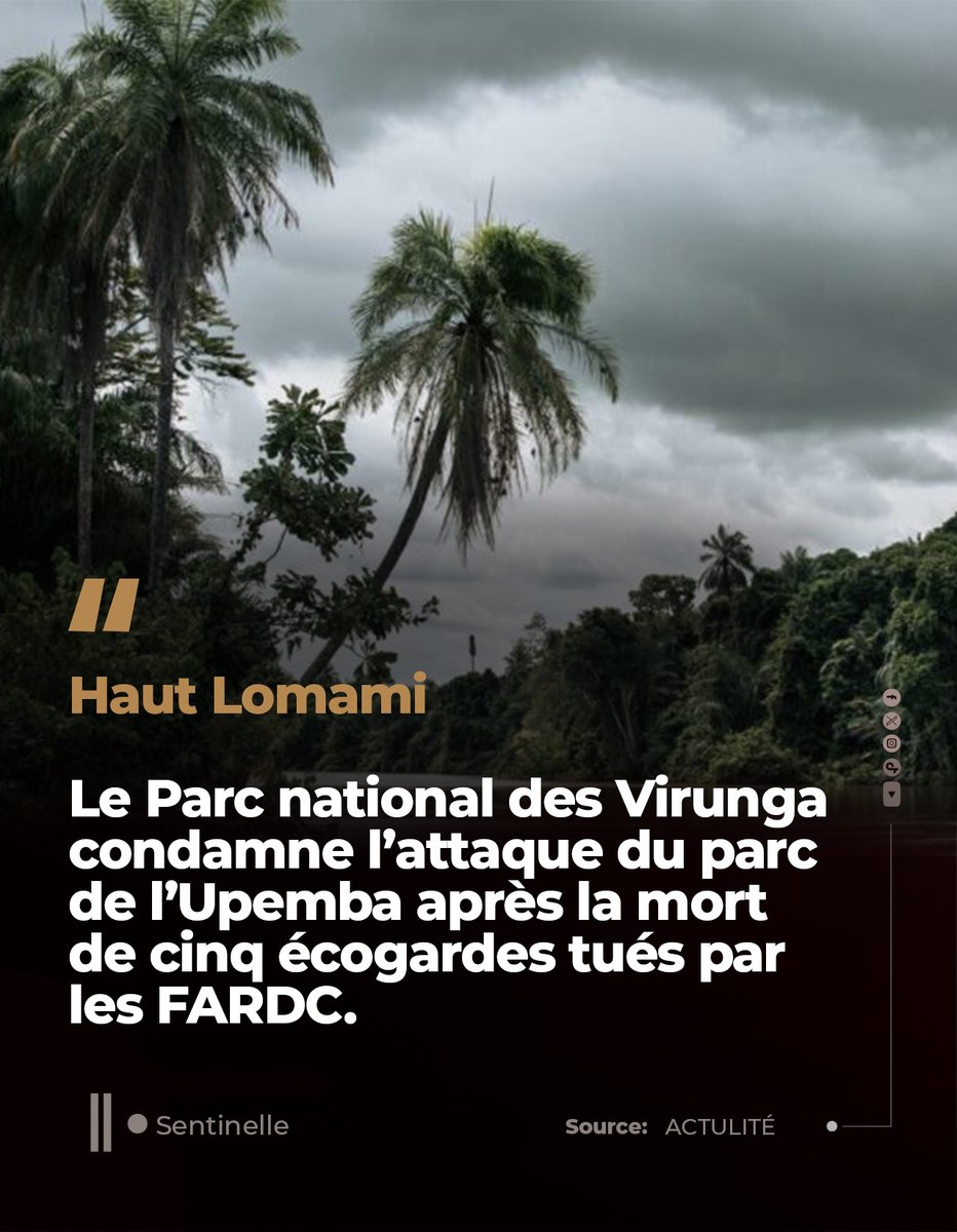 Sentinelle tweet media