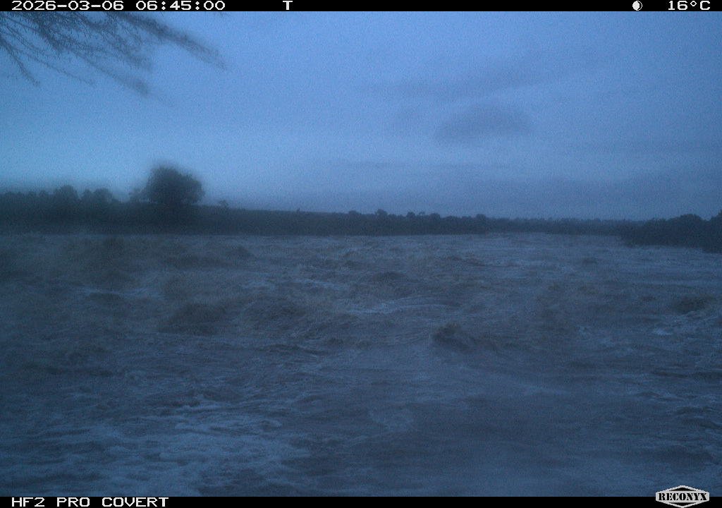 Christopher L Dutton tweet media