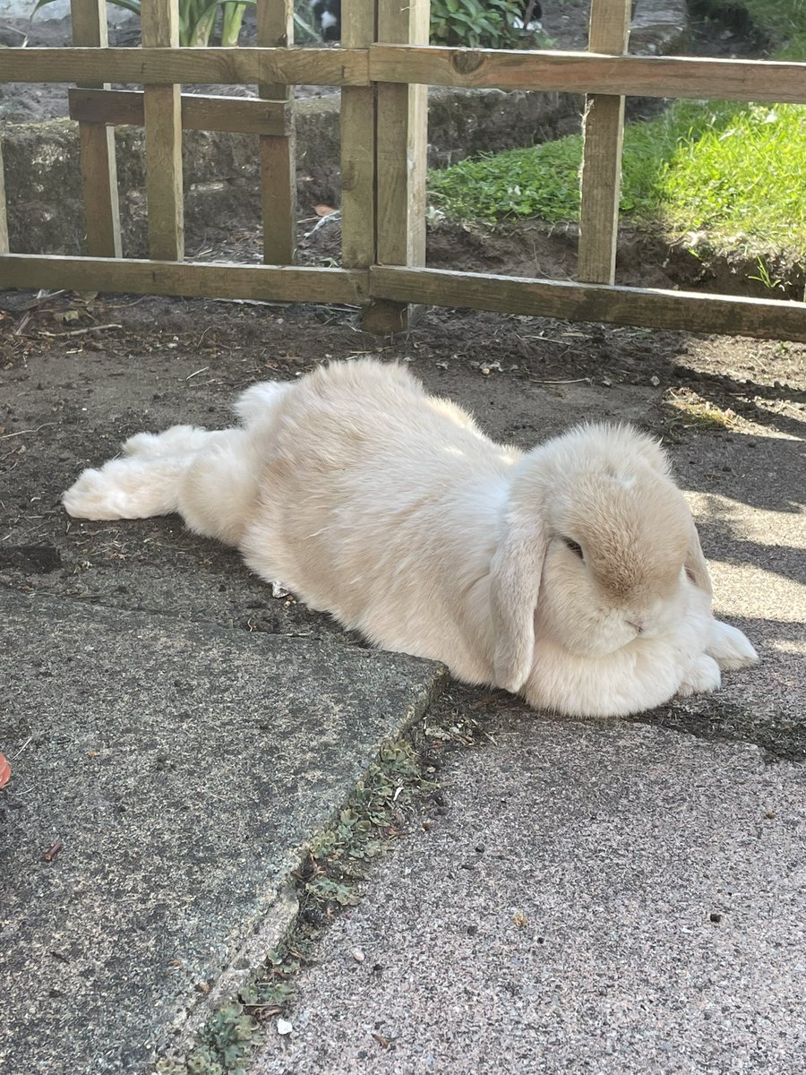 Ebony and Mum Julia tweet media