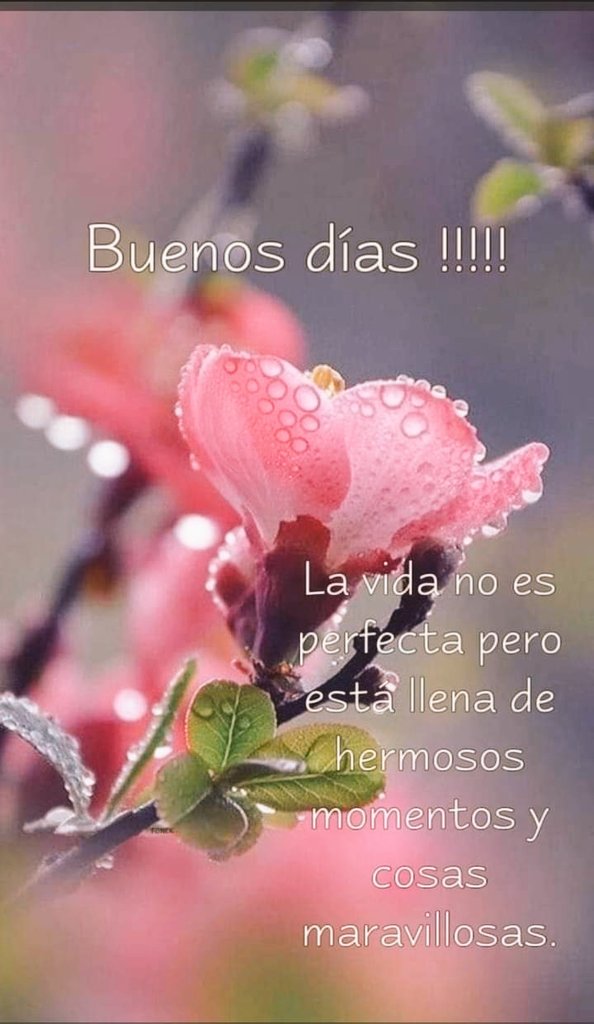 verva12's tweet photo. @oracion_milagro Con la bendición del Padre https://t.co/cG4NlZliBz