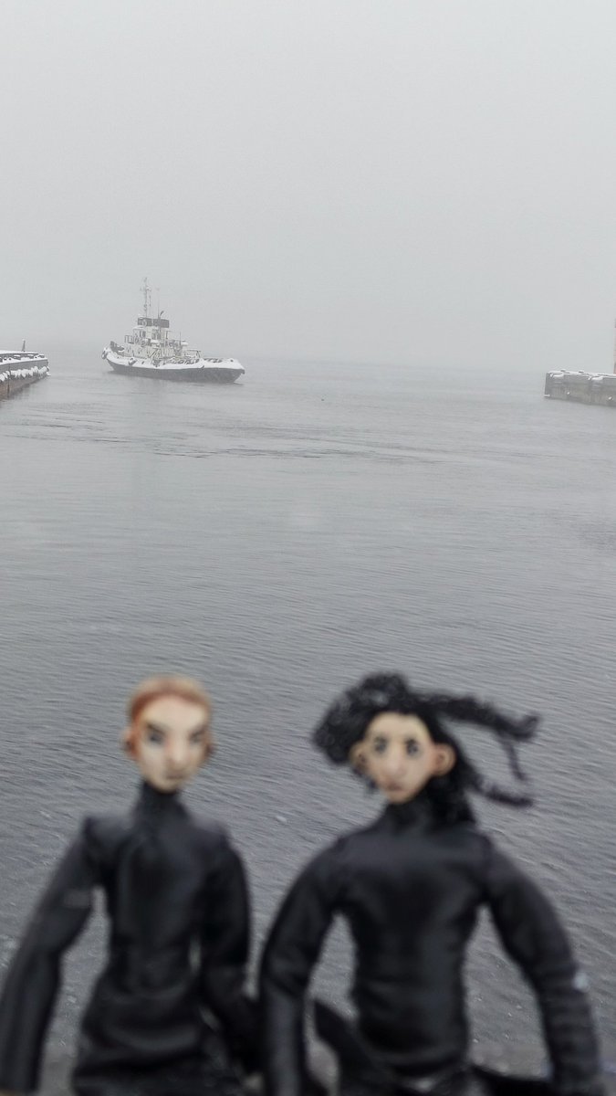 Aldo-n-canp tweet media