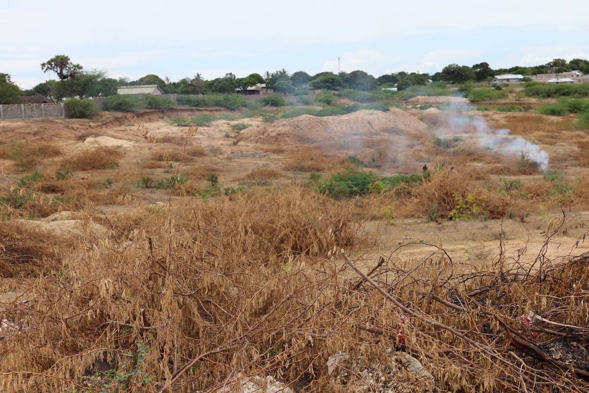 Senate KE C'tees tweet media