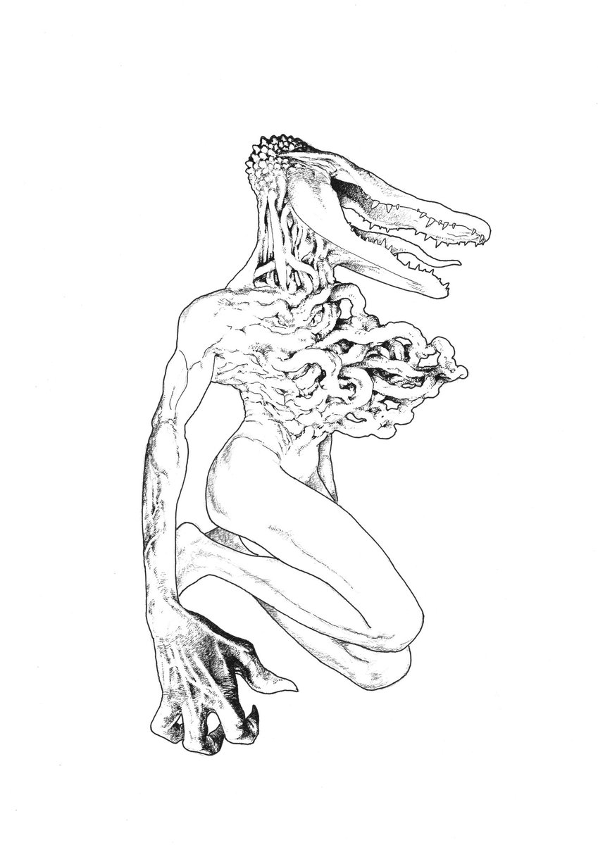 ᴅᴀɴsʜɪɴ tweet media