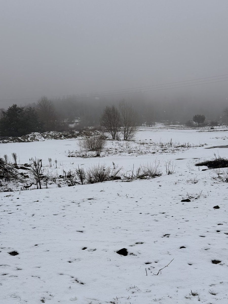 İstanbula kar getiriyorum ardımdan hadi iyisiniz