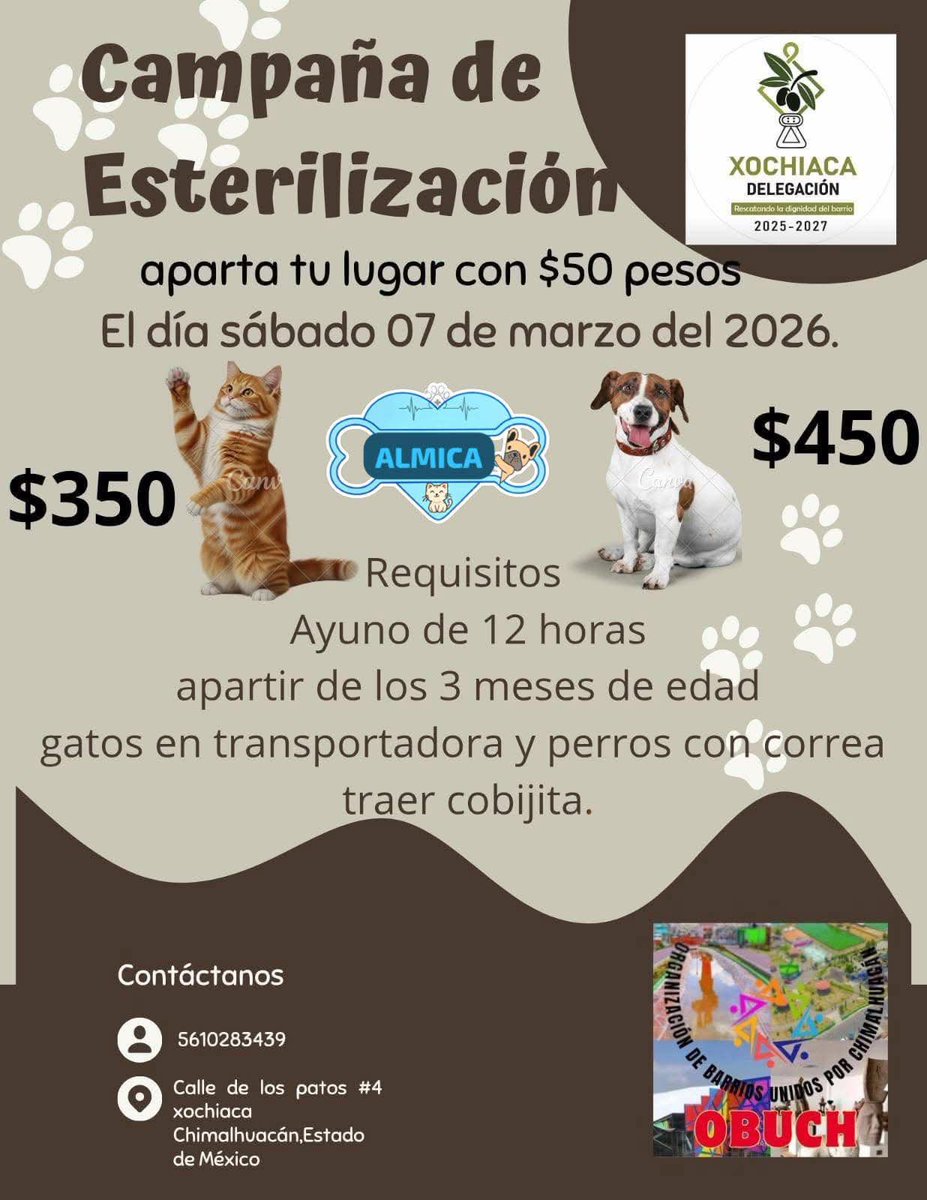 Proyecto Six Pack tweet media