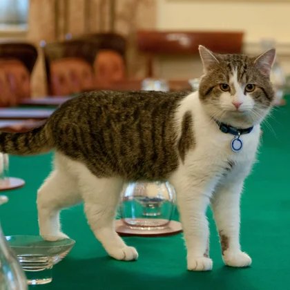 The Crane Report  🏴󠁧󠁢󠁥󠁮󠁧󠁿 🇬🇧 🇪🇺 🇺🇦 tweet media