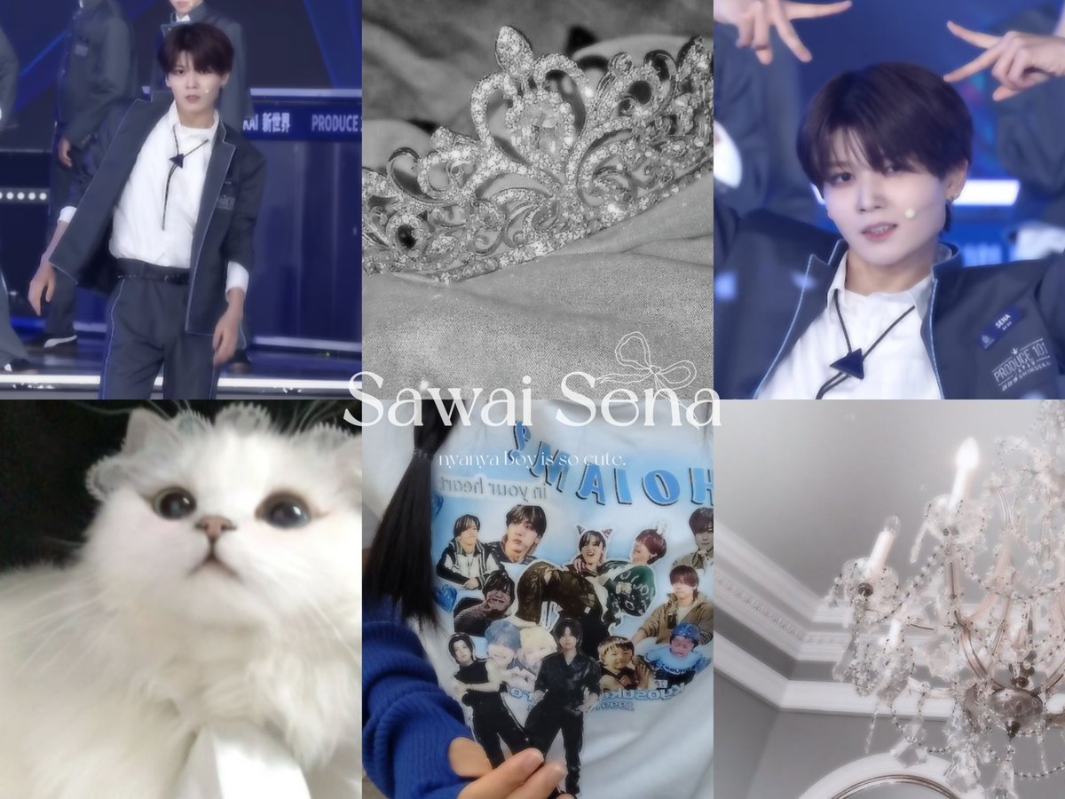 🐈‍⬛🌟 tweet media