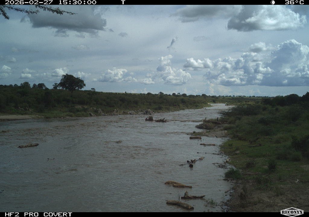 Christopher L Dutton tweet media