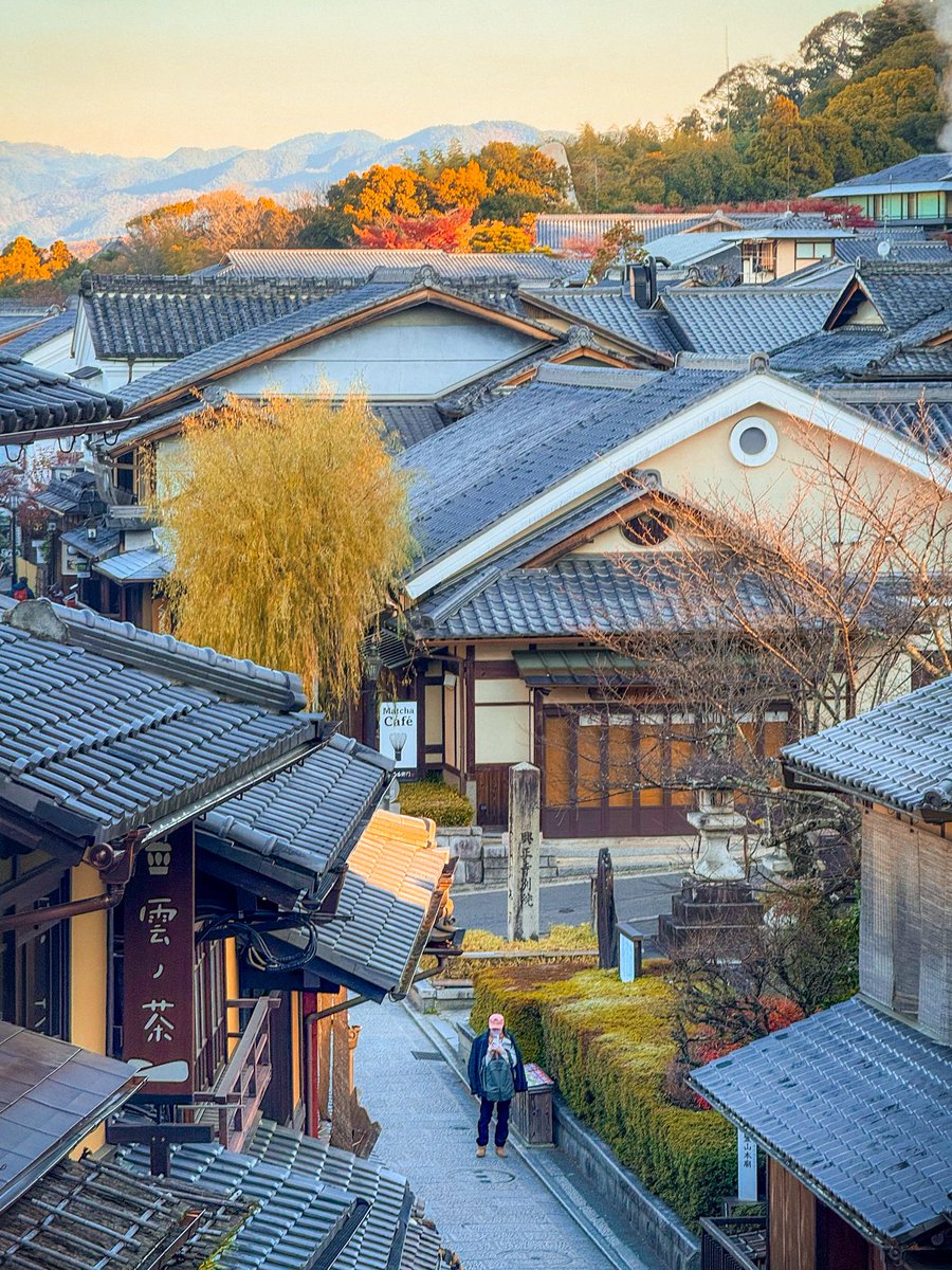 Maxime Visticot tweet media